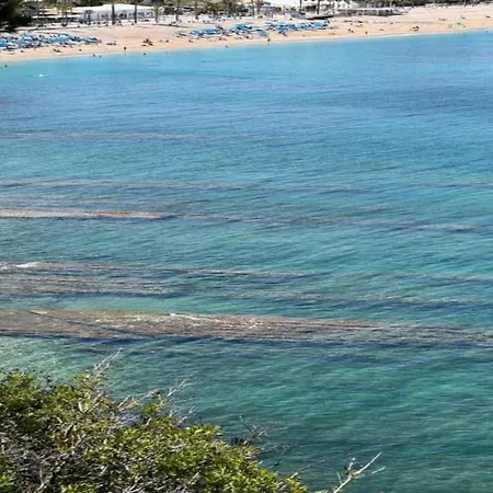 Lejlighed Seaside Bliss In